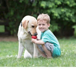 KONG Classic 17 KONG Classic -Heimtierbedarf Verkauf kong classic 98642 0500 none