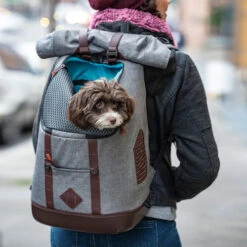 Kurgo K9 Rucksack -Heimtierbedarf Verkauf kurgo k9 rugzak 208103 0500 none