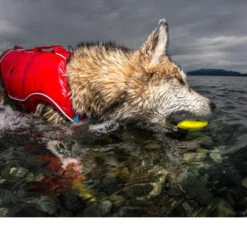 Kurgo Skipping Stones 13 Kurgo Skipping Stones -Heimtierbedarf Verkauf kurgo skipping stones 99608 0500 none