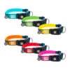 Max & Molly Smart ID Halsband -Heimtierbedarf Verkauf max molly smart id halsband 141887 0500 none