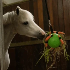 Maximus Fun Play Ball Für Pferde -Heimtierbedarf Verkauf maximus fun play ball voor paarden 207830 0500 none