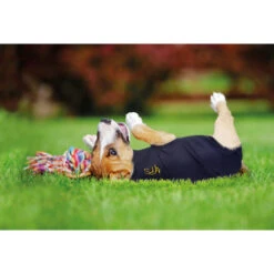 Medical Pet Shirt Hund -Heimtierbedarf Verkauf medical pet shirt hond 149981 0500 none