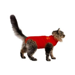 Medical Pet Shirt Katze -Heimtierbedarf Verkauf medical pet shirt kat 167401 0500 none