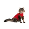 Medical Pet Shirt Katze 2 Medical Pet Shirt Katze -Heimtierbedarf Verkauf medical pet shirt kat 167407 0500 none