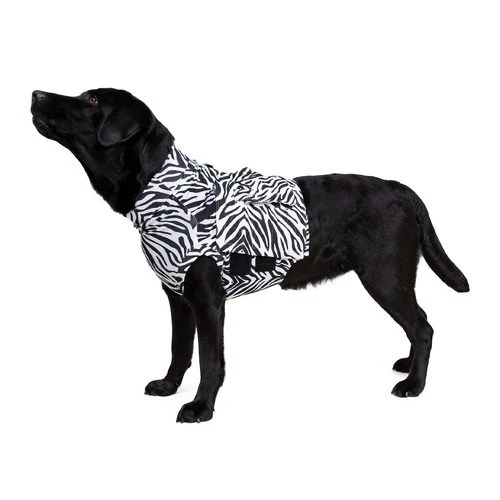 Medical Pet Top Shirt Zebra 3 Medical Pet Top Shirt Zebra