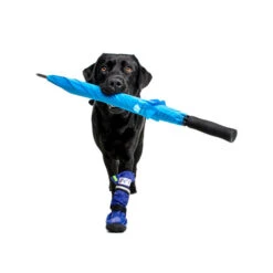 Medical Pet Shirt Boot -Heimtierbedarf Verkauf medical pets boot 167482 0500 none