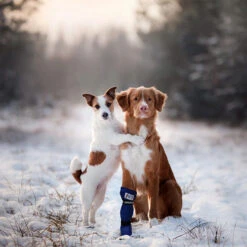 Medical Pet Shirt Boot -Heimtierbedarf Verkauf medical pets boot 167509 0500 none