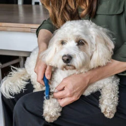 Mikki Doodle De-Matter 9 Mikki Doodle De-Matter -Heimtierbedarf Verkauf mikki doodle de matter 194483 0500 none