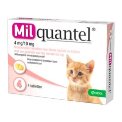 Milquantel Katze -Heimtierbedarf Verkauf milquantel kat 112619 0500 none