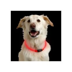 Nite Ize NiteHowl LED Safety Necklace -Heimtierbedarf Verkauf nite ize nitehowl led safety necklace 89526 0500 none