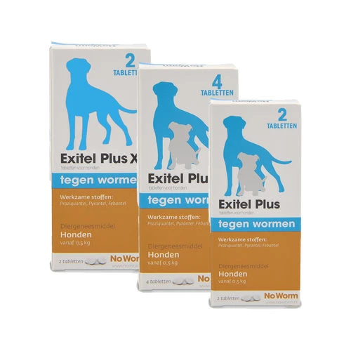No Worm Exitel Plus Hund 3 No Worm Exitel Plus Hund