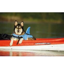 Nobby Hundeschwimmweste Sharki -Heimtierbedarf Verkauf nobby sharki hondenzwemvest 221666 0500 none