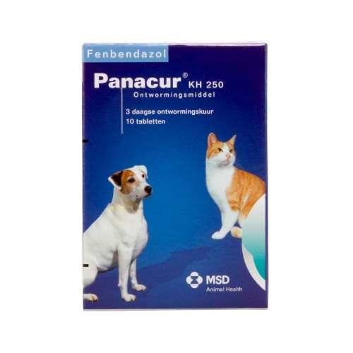 Panacur Hund Und Katze 5 Panacur Hund Und Katze – Bild 3