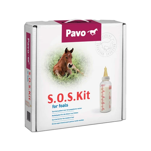 Pavo S.O.S.-Fohlenpaket 3 Pavo S.O.S.-Fohlenpaket