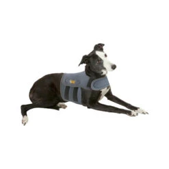 Petlife KarmaWrap Für Hunde 7 Petlife KarmaWrap Für Hunde -Heimtierbedarf Verkauf petlife karmawrap hond 154186 0500 none