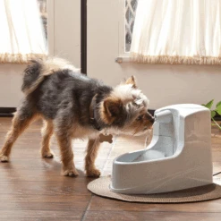 Petsafe Drinkwell Mini-Trinkbrunnen -Heimtierbedarf Verkauf petsafe drinkwell mini drinkfontein 12 l 208061 0500 none