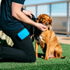 Popware Pooch Pouch Treatbag -Heimtierbedarf Verkauf popware pooch pouch treatbag 164698 0500 none