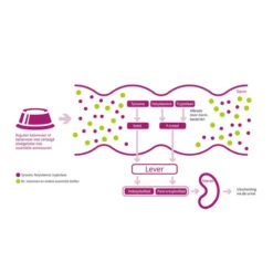 Porus One -Heimtierbedarf Verkauf porus one 134455 0500 none