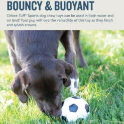 Planet Dog Orbee-Tuff Soccer Ball -Heimtierbedarf Verkauf prod 14590 203615 0500 none