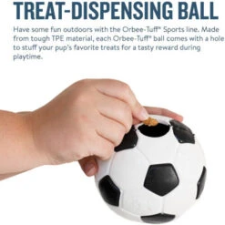 Planet Dog Orbee-Tuff Soccer Ball -Heimtierbedarf Verkauf prod 14590 203618 0500 none