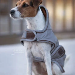 Kentucky Hundemantel Reflective & Waterrepellent -Heimtierbedarf Verkauf prod 15746 219013 0500 none