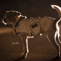Kentucky Hundemantel Reflective & Waterrepellent -Heimtierbedarf Verkauf prod 15746 219015 0500 none