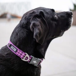 DOG Copenhagen Urban Style Halsband -Heimtierbedarf Verkauf prod 15937 220286 0500 none