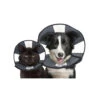 ZenPet Zen Collar 1 ZenPet Zen Collar -Heimtierbedarf Verkauf prod 5332 89019 0500 none
