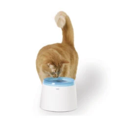 Catit Fresh & Clear Drinking Fountain 9 Catit Fresh & Clear Drinking Fountain -Heimtierbedarf Verkauf product catit fresh clear drinking fountain 2l none 4 1465984674 69903