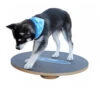 FitPAWS Wobble Board -Heimtierbedarf Verkauf product fitpaws wobble board none 4 1470905070 76051