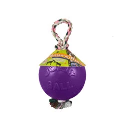Jolly Ball Mit Strick -Heimtierbedarf Verkauf product jolly romp n roll none 4 1468850147 71422