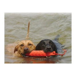 KONG Training Dummy 13 KONG Training Dummy -Heimtierbedarf Verkauf product kong training dummy none 4 1469627104 71971