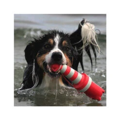 Rogz Leuchtturm 5 Rogz Leuchtturm -Heimtierbedarf Verkauf product rogz lighthouse none 4 1485526267 82936