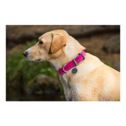 Ruffwear Headwater Collar -Heimtierbedarf Verkauf product ruffwear headwater collar none 4 1487775433 83755