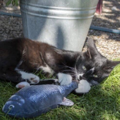 Robocat Lachs -Heimtierbedarf Verkauf robocat zalm 168219 0500 none