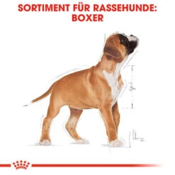 Royal Canin Boxer Puppy - Hundefutter -Heimtierbedarf Verkauf royal canin boxer puppy hondenvoer 137491 0500 none