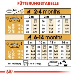Royal Canin Boxer Puppy - Hundefutter -Heimtierbedarf Verkauf royal canin boxer puppy hondenvoer 137500 0500 none
