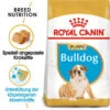 Royal Canin Bulldog Puppy - Hundefutter -Heimtierbedarf Verkauf royal canin bulldog puppy hondenvoer 137848 0500 none