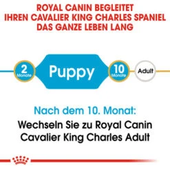 Royal Canin Cavalier King Charles Puppy - Hundefutter -Heimtierbedarf Verkauf royal canin cavalier king charles puppy hondenvoer 137905 0500 none