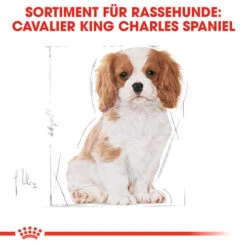 Royal Canin Cavalier King Charles Puppy - Hundefutter -Heimtierbedarf Verkauf royal canin cavalier king charles puppy hondenvoer 137932 0500 none