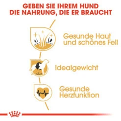 Royal Canin Cocker Adult - Hundefutter 11 Royal Canin Cocker Adult - Hundefutter -Heimtierbedarf Verkauf royal canin cocker adult hondenvoer 138163 0500 none