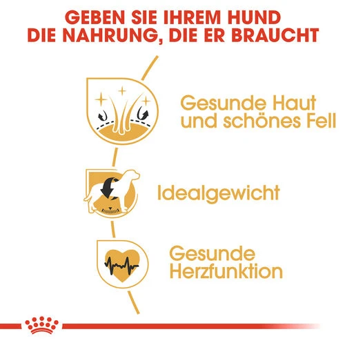 Royal Canin Cocker Adult - Hundefutter 5 Royal Canin Cocker Adult - Hundefutter – Bild 3