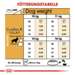 Royal Canin Cocker Adult - Hundefutter 14 Royal Canin Cocker Adult - Hundefutter -Heimtierbedarf Verkauf royal canin cocker adult hondenvoer 138178 0500 none