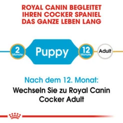Royal Canin Cocker Puppy - Hundefutter 14 Royal Canin Cocker Puppy - Hundefutter -Heimtierbedarf Verkauf royal canin cocker puppy hondenvoer 138199 0500 none