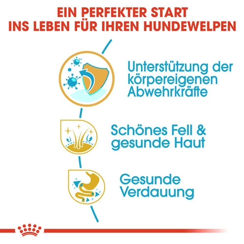 Royal Canin Golden Retriever Puppy - Hundefutter 4 Royal Canin Golden Retriever Puppy - Hundefutter – Bild 2