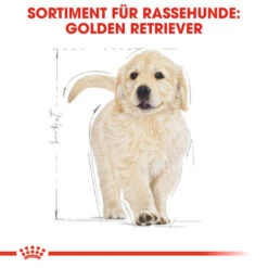 Royal Canin Golden Retriever Puppy - Hundefutter 13 Royal Canin Golden Retriever Puppy - Hundefutter -Heimtierbedarf Verkauf royal canin golden retriever puppy hondenvoer 138958 0500 none