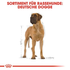 Royal Canin Great Dane Adult - Hundefutter 12 Royal Canin Great Dane Adult - Hundefutter -Heimtierbedarf Verkauf royal canin great dane adult hondenvoer 138994 0500 none