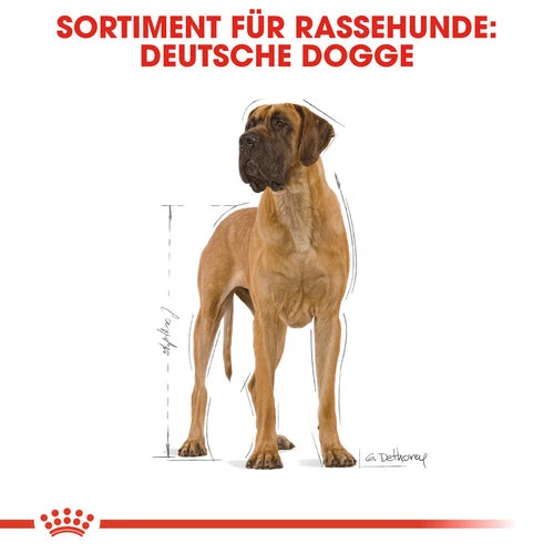 Royal Canin Great Dane Adult - Hundefutter 6 Royal Canin Great Dane Adult - Hundefutter – Bild 4