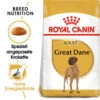 Royal Canin Great Dane Adult - Hundefutter 1 Royal Canin Great Dane Adult - Hundefutter -Heimtierbedarf Verkauf royal canin great dane adult hondenvoer 139048 0500 none