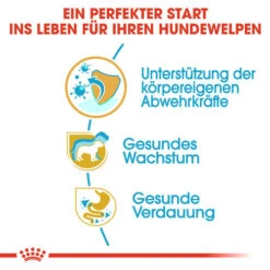 Royal Canin Jack Russell Terrier Puppy - Hundefutter 11 Royal Canin Jack Russell Terrier Puppy - Hundefutter -Heimtierbedarf Verkauf royal canin jack russell terrier puppy hondenvoer 139309 0500 none